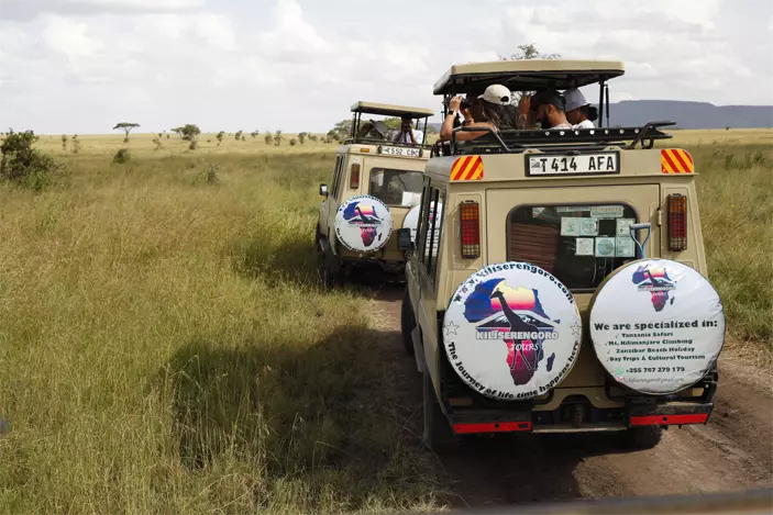 Serengeti National Park Tanzania Safari